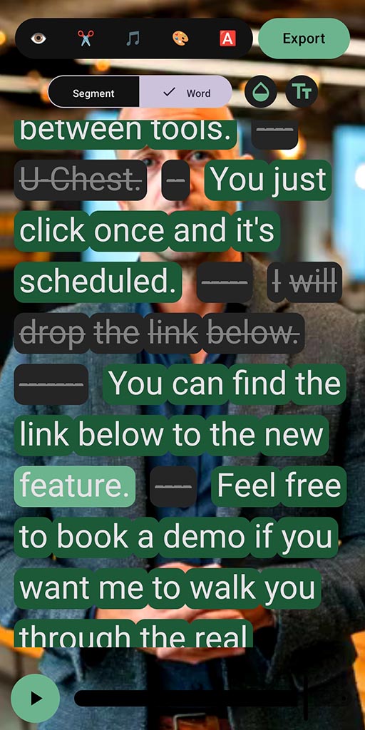 SpeechCut transcript editing screenshot